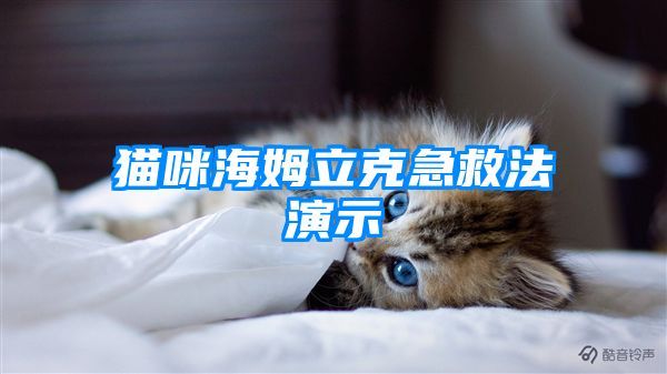 猫咪海姆立克急救法演示