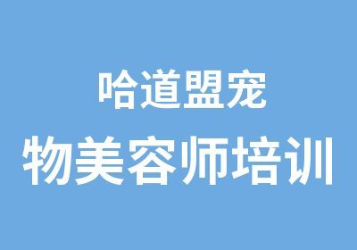 哈道盟宠物美容师培训