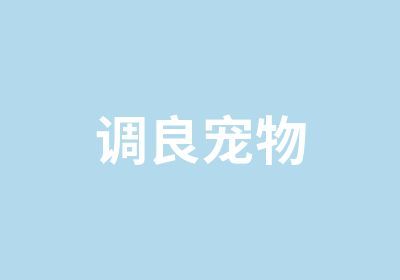 北京调良宠物培训培训中心