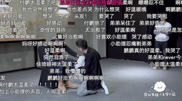 吴起老师汪星学院：全国首套治疗犬培训师课程全新升级，6月报名火热