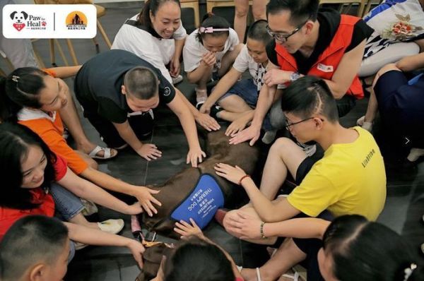 吴起老师汪星学院：全国首套治疗犬培训师课程全新升级，6月报名火热