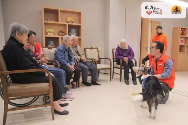 吴起老师汪星学院：全国首套治疗犬培训师课程全新升级，6月报名火热