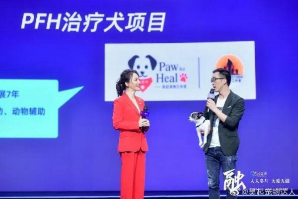 吴起老师汪星学院：全国首套治疗犬培训师课程全新升级，6月报名火热