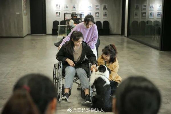 吴起老师汪星学院：全国首套治疗犬培训师课程全新升级，6月报名火热