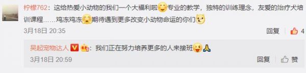 吴起老师汪星学院：全国首套治疗犬培训师课程全新升级，6月报名火热