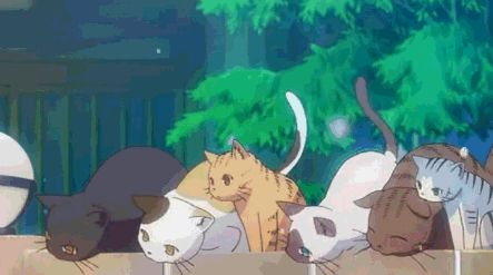 你最适合养哪种小动物