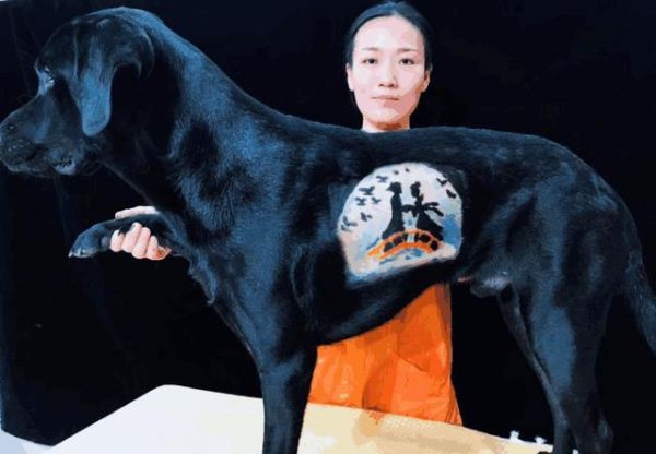 营养过剩，每顿喂养要适量，让毛孩远离肥胖