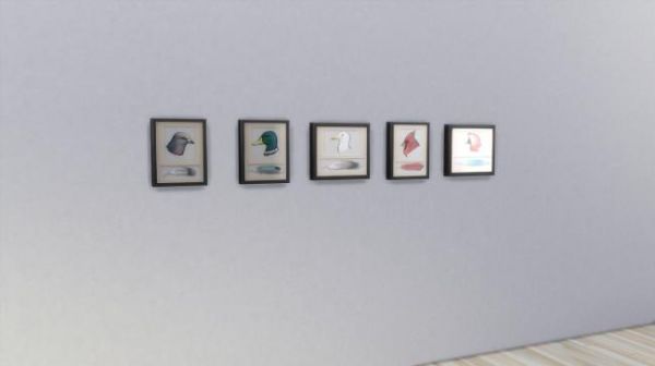An image from the Sims 4 of a Feather Display, which features plaques of five different birds and their feathers mounted on the wall.