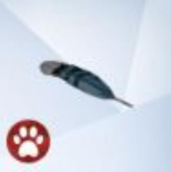 An image from The Sims 4 Cats and Dogs of a Blue Jay Feather.