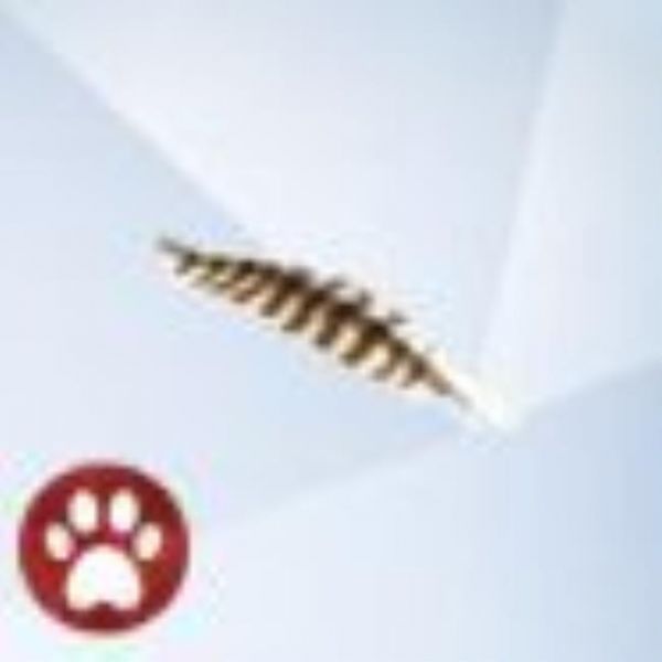 An image from The Sims 4 Cats And Dogs of a Pheasant Feather
