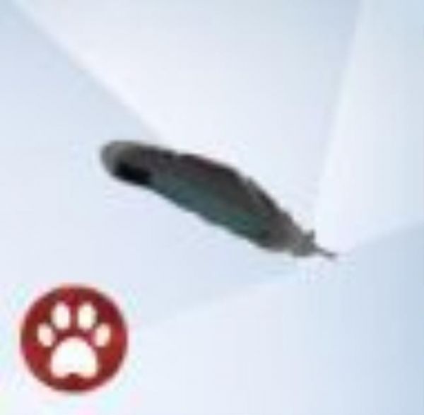 An image from The Sims 4 Cats And Dogs of a Duck feather