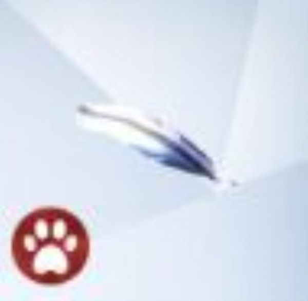 An image from The Sims 4 Cats And Dogs of the Spotted Sixam Feather
