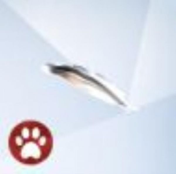 An image from The Sims 4 Cats And Dogs of a Seagull Feather