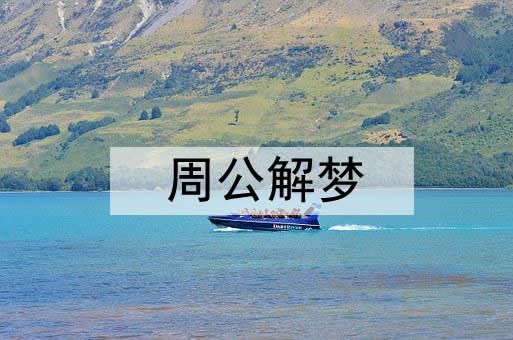梦见鸟飞在自己的手上是什么意思