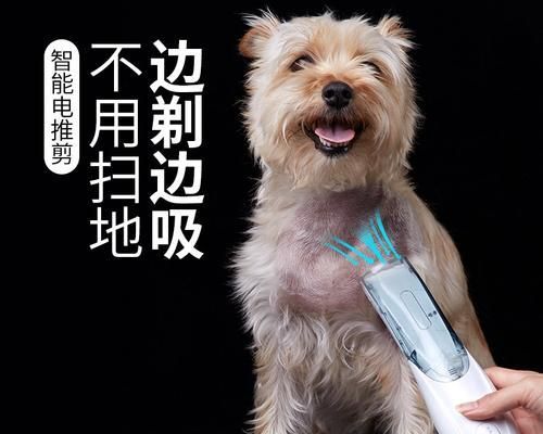 如何给宠物小狗剃除脚底毛（让宠物更舒适和健康）