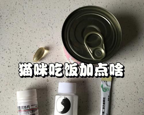 如何给宠物猫补充维生素B（猫咪缺乏维生素B的危害及补充方法）