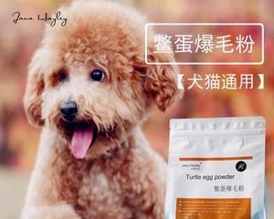 如何给宠物猫补充维生素B（猫咪缺乏维生素B的危害及补充方法）