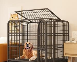 如何训练宠物狗进入笼子（通过渐进式训练帮助狗狗进入笼子）