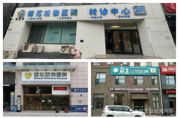 又收购四家宠物医院，瑞辰再扩张，宠物医疗开始比拼供应链