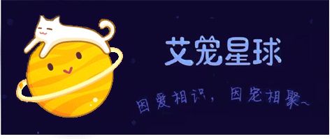 狗狗咬人？教你几招训成乖乖狗！