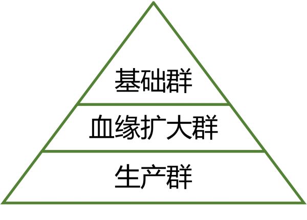 三级繁育结构