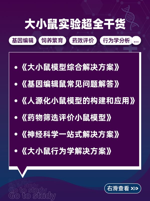 大小鼠行为实验