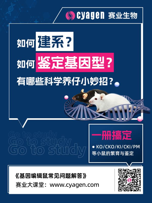大小鼠行为实验