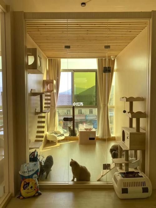 猫咪寄养酒店