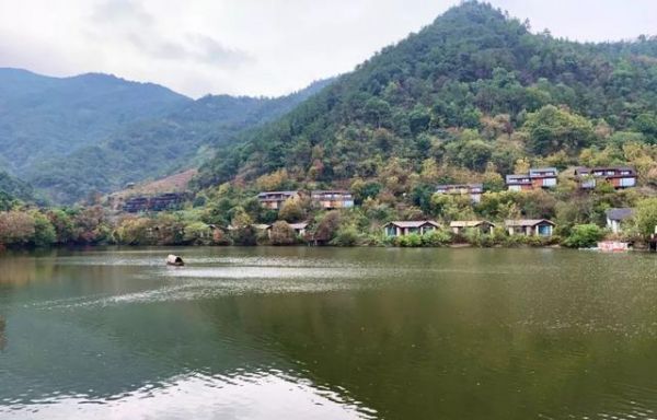 十一值得带狗入住的五家度假酒店