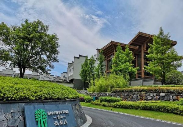 十一值得带狗入住的五家度假酒店