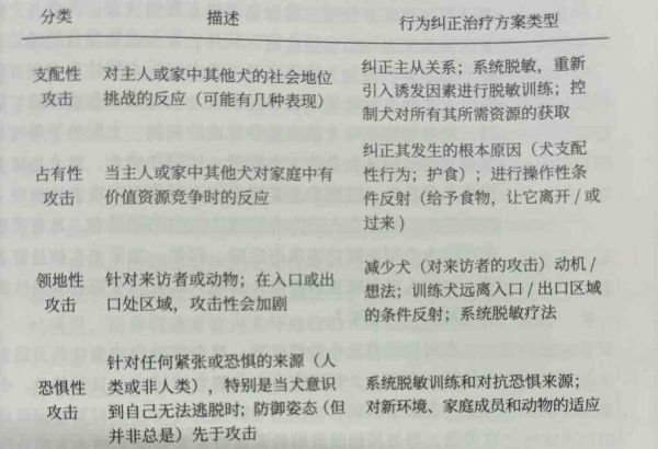科学养宠 | 犬行为训练与社交技巧攻略