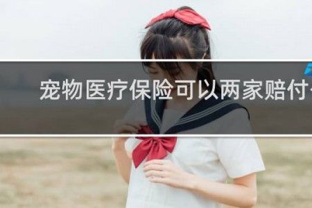 宠物医疗保险可以两家赔付么