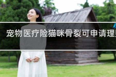 宠物医疗险猫咪骨裂可申请理赔吗