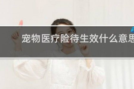 宠物医疗险待生效什么意思