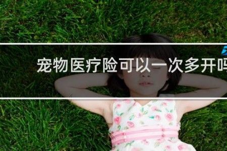 宠物医疗险可以一次多开吗