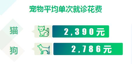 增速明显的宠物保险市场，如何构建良性闭环关系链