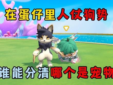 蛋仔派对:在蛋仔里人仗狗势,这谁能分清哪个是宠物啊! #蛋仔派对 #蛋仔神奇艾比 #我的神奇艾比 #神奇艾比来啦 #蛋仔派对2周年狂欢