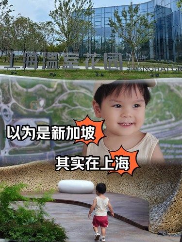 还以为在新加坡！没想到竟然是上海