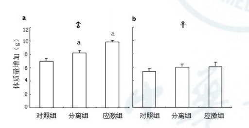 小鼠行为学