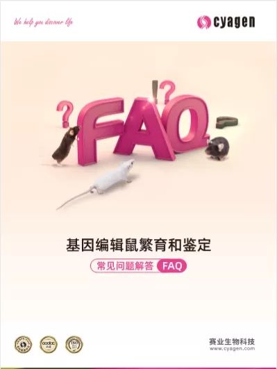 基因编辑鼠繁育和鉴定