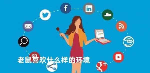 老鼠喜欢什么样的环境