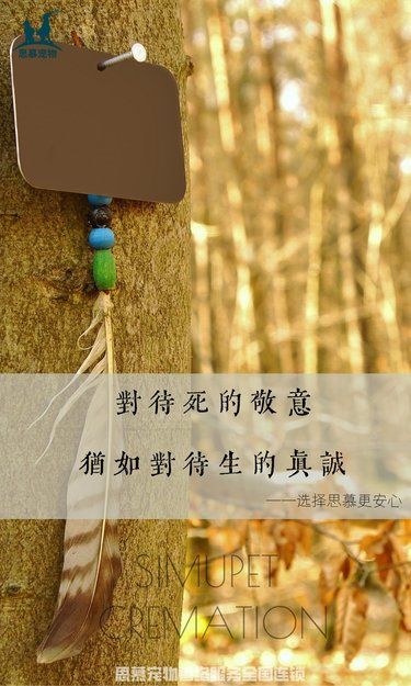 宠物殡葬是对待生死的敬意