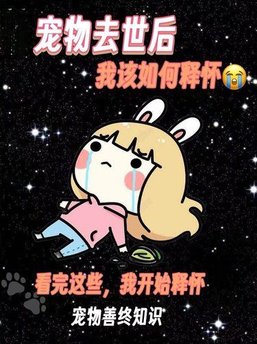宠物去世后，我们该如何释怀⁉️