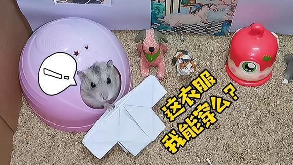 挑剔的小仓鼠没看上折纸衣服主人我改成玩具怪兽啦激萌奖金