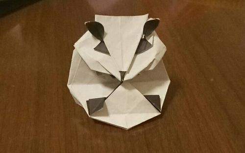 折纸展示 这只小仓鼠辣么可爱确定不来看看看下简介
