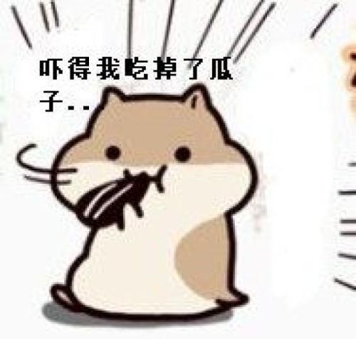 最方便饲养的宠物：仓鼠，养过的举个爪
