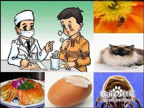 怎样避免动物过敏