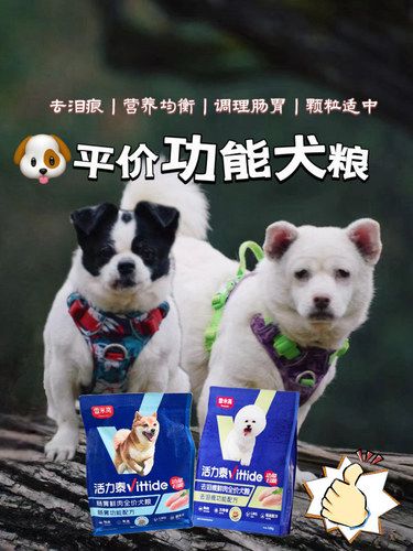 梧桐区宝藏萌宠洗护店