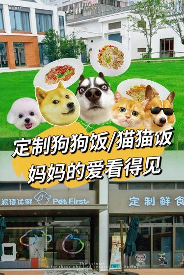感谢妈妈挣钱给我做定制宠物餐啦！