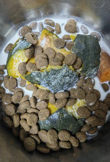 寄养孩子的日常饮食